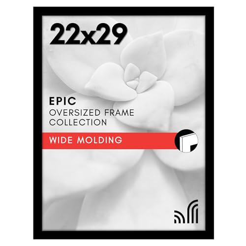 22x29 Poster Frame