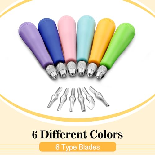 6 Pack Multicolor