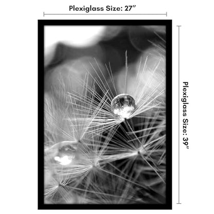 27x39 Poster Frame