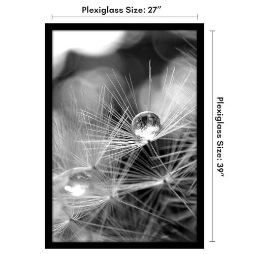 27x39 Poster Frame