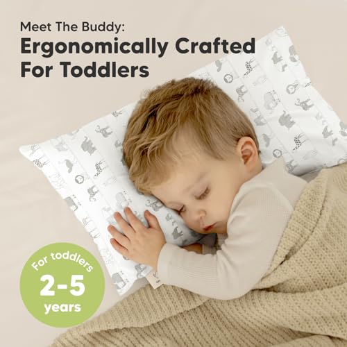 Toddler Pillow with Pillowcase