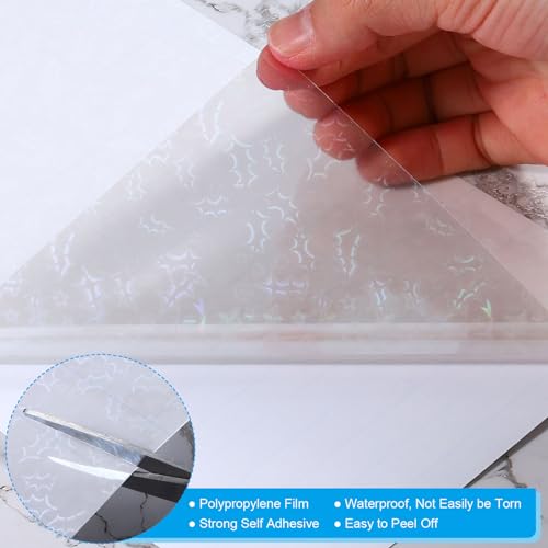 8.3x5.8 Holographic Sticker Paper (20 Count)
