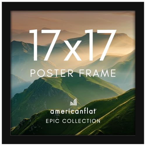 17x17 Picture Frame (17 Count)