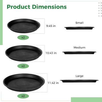 6 Pcs Stepping Stone Mold Set
