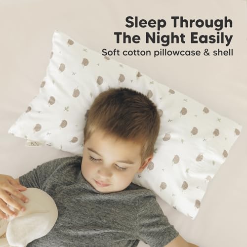 Toddler Pillow with Pillowcase