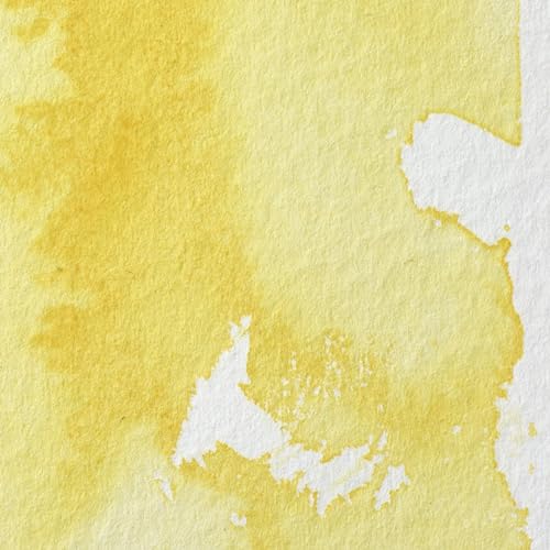 Professional Watercolor