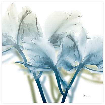 Frameless Free Floating Tempered Glass Panel Graphic Wall Art Ready to Hang