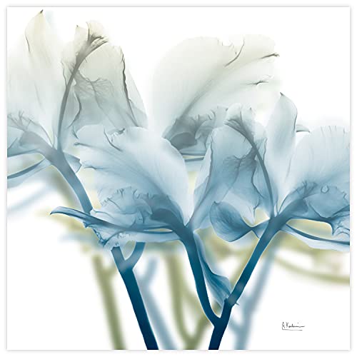 Frameless Free Floating Tempered Glass Panel Graphic Wall Art Ready to Hang