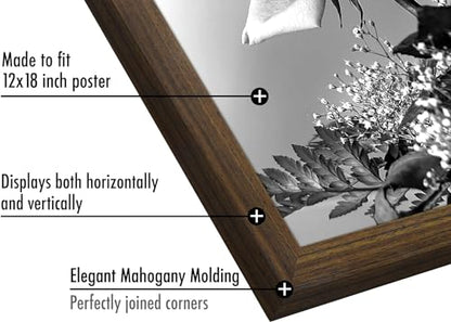12x18 Poster Frame
