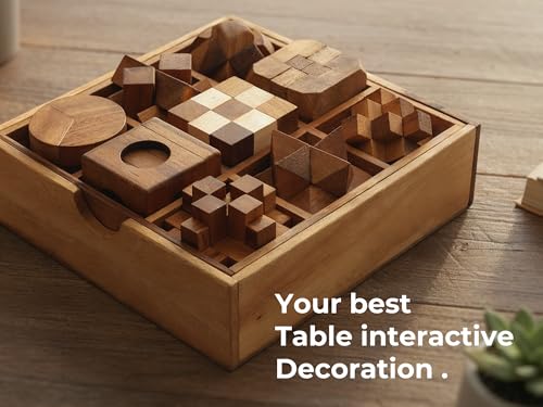9 in 1 Wooden Brain Teaser Puzzles for Adults Teens Box Set Wood Hard Level 10 Impossible Mind Wood Brain Teaser Games 3D Hand Puzzle Sets for Decoration and Mini Toys (9 Count)