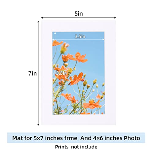 10 Pack 5x7 White Picture Mats