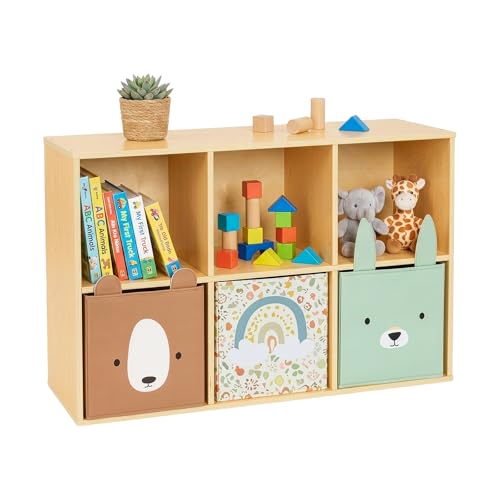 6 Cube Storage Organizer