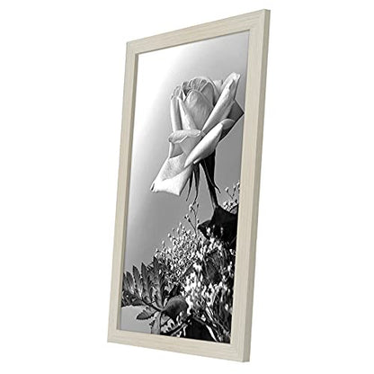 12x18 Poster Frame