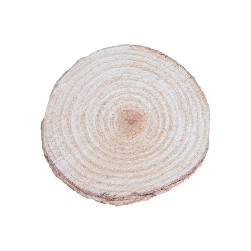 Wood Slices in Mesh Bag for Crafts DIY Projects Rustic Wedding Decorations Ornaments Coasters Tags Home Decor