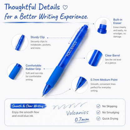 Blue Erasable Gel Pens (24 Count)