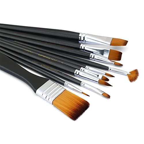 Paint Brush Kit 10pcs Art Brushes and 1 Paint Spatula with Brush Case