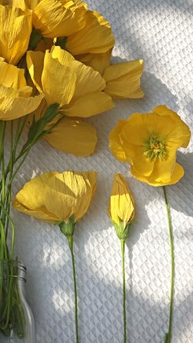 Crepe Paper Poppy Flower DIY Making Kit 24 pcs (24 Count)