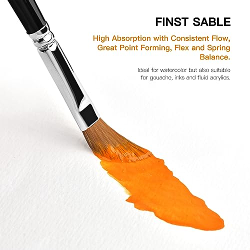 Sable Watercolor Brushes Professional Kolinsky Sable Brushes 7pcs (7 Count)