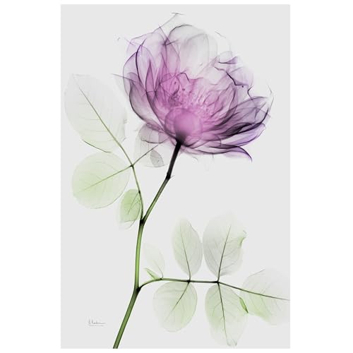 FramelessTempered Glass Wall Art