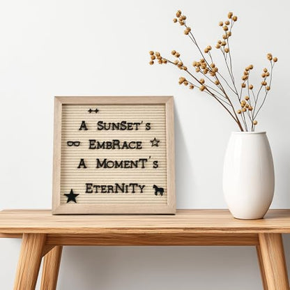 Pre Cut Letters for Felt Letter Board