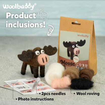 Needle Felting Starter Kit
