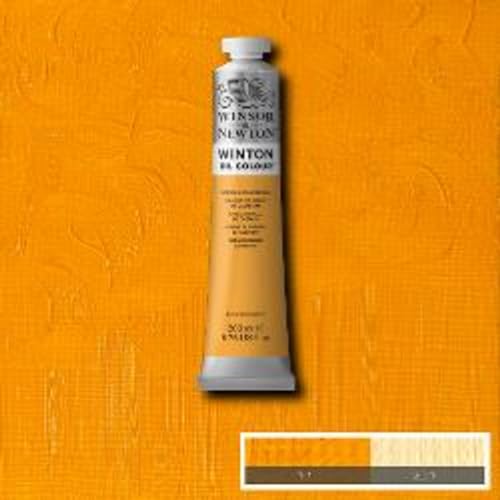 Winton Oil Color (6.76 Fl Oz)