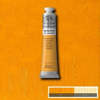 Winton Oil Color (6.76 Fl Oz)
