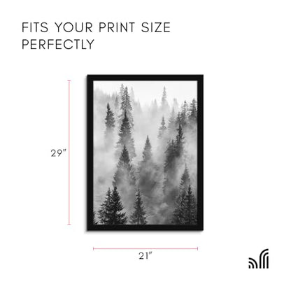 21x29 Poster Frame