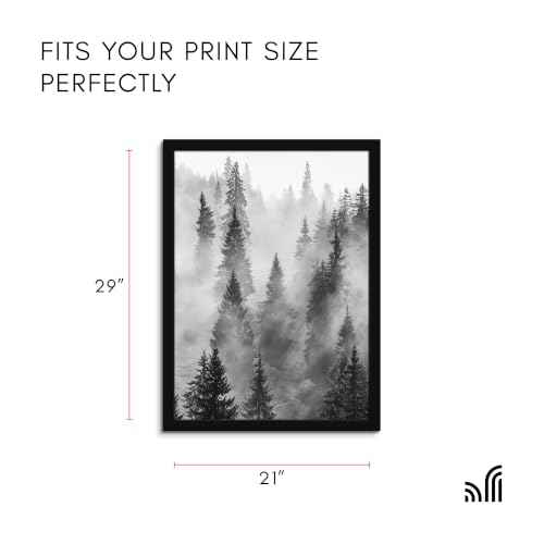 21x29 Poster Frame