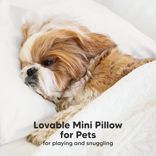 Mini Toddler Pillow with Pillowcase