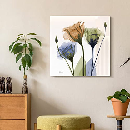 Frameless Free Floating Tempered Glass Panel Graphic Wall Art Ready to Hang
