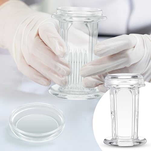 6 Pieces Coplin Staining Jars (6 Count)