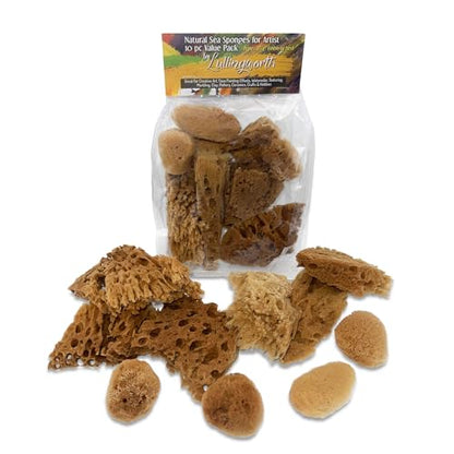 Natural Sea Sponges 10pk for Artists (10 Count)