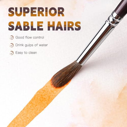 Sable Watercolor Brushes (10 Count)