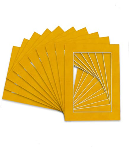 Pack of Ten Acid Free 11x14 Mats Bevel Cut for 9x12 Photos (10 Count)