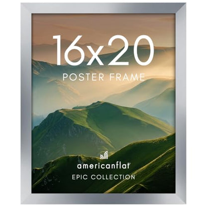 16x20 Poster Frame