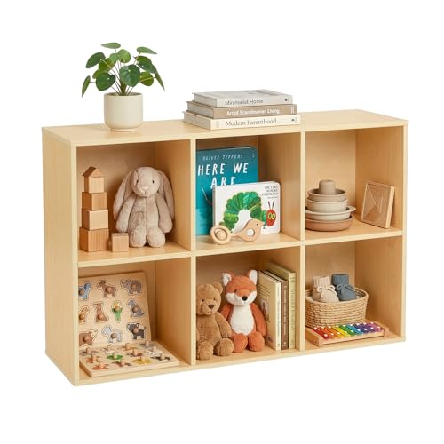 6 Cube Storage Organizer