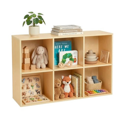 6 Cube Storage Organizer