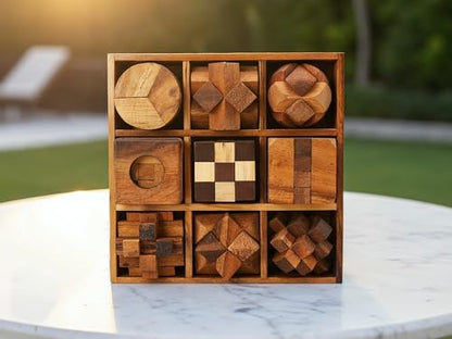 9 in 1 Wooden Brain Teaser Puzzles for Adults Teens Box Set Wood Hard Level 10 Impossible Mind Wood Brain Teaser Games 3D Hand Puzzle Sets for Decoration and Mini Toys (9 Count)