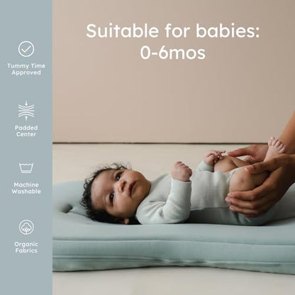 Organic Newborn Baby Infant Lounger Pillow & Travel Bag