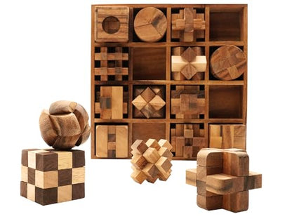 16 in 1 Wooden Brain Teaser Puzzles for Adults and Seniors Interlocking 3D Mini Wood Mind Games Hand Puzzle Teasers Set Toys Coffee Table Games Gift