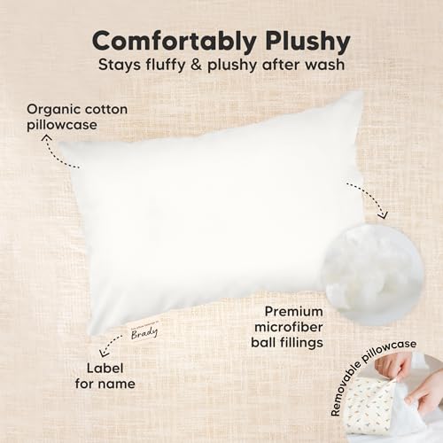 Mini Toddler Pillow with Pillowcase