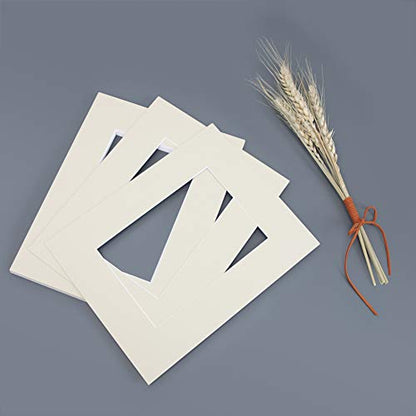 Mat Board Center 10 Pack 11x14 Photo Mats for 8x10 Picture (10 Count)