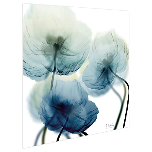 Frameless Free Floating Tempered Glass Panel Graphic Wall Art Ready to Hang