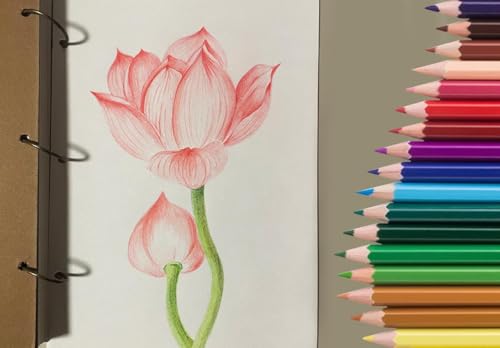 50Pcs Colored Pencils (50 Count)