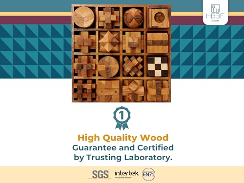 16 in 1 Wooden Brain Teaser Puzzles for Adults and Seniors Interlocking 3D Mini Wood Mind Games Hand Puzzle Teasers Set Toys Coffee Table Games Gift