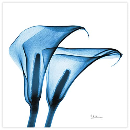 Frameless Free Floating Tempered Glass Panel Graphic Wall Art Ready to Hang (2 Count)