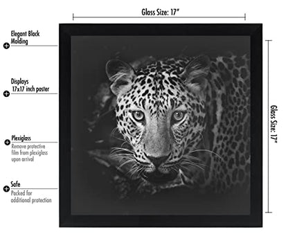 17x17 Picture Frame (17 Count)