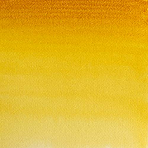 Professional Watercolor