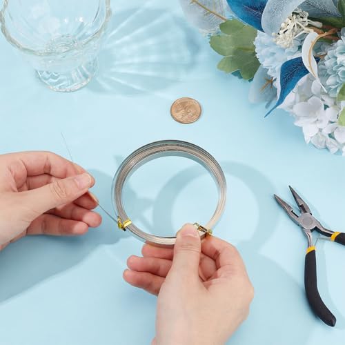 19.7 Feet 32Gauge Flat Nickel Silver Wire (19.69 Foot)